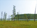 Охотское Море 64